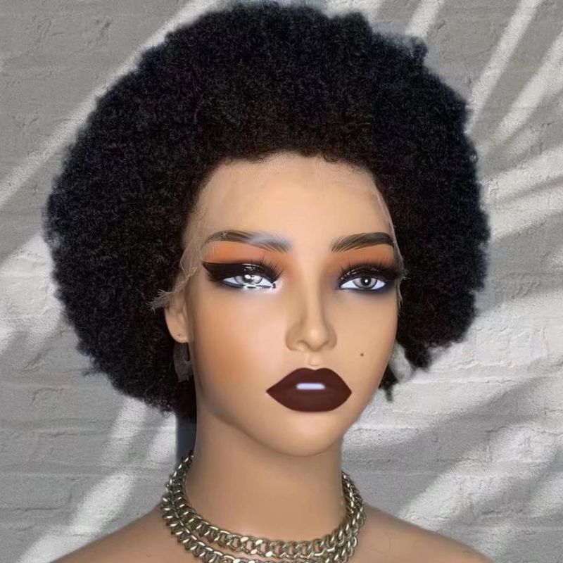 Afro Kinky HD Full Lace Wigs Human Hair